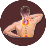 Trung tâm Y Khoa CHIROPRACTIC